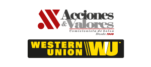 Western Union acciones y Valores